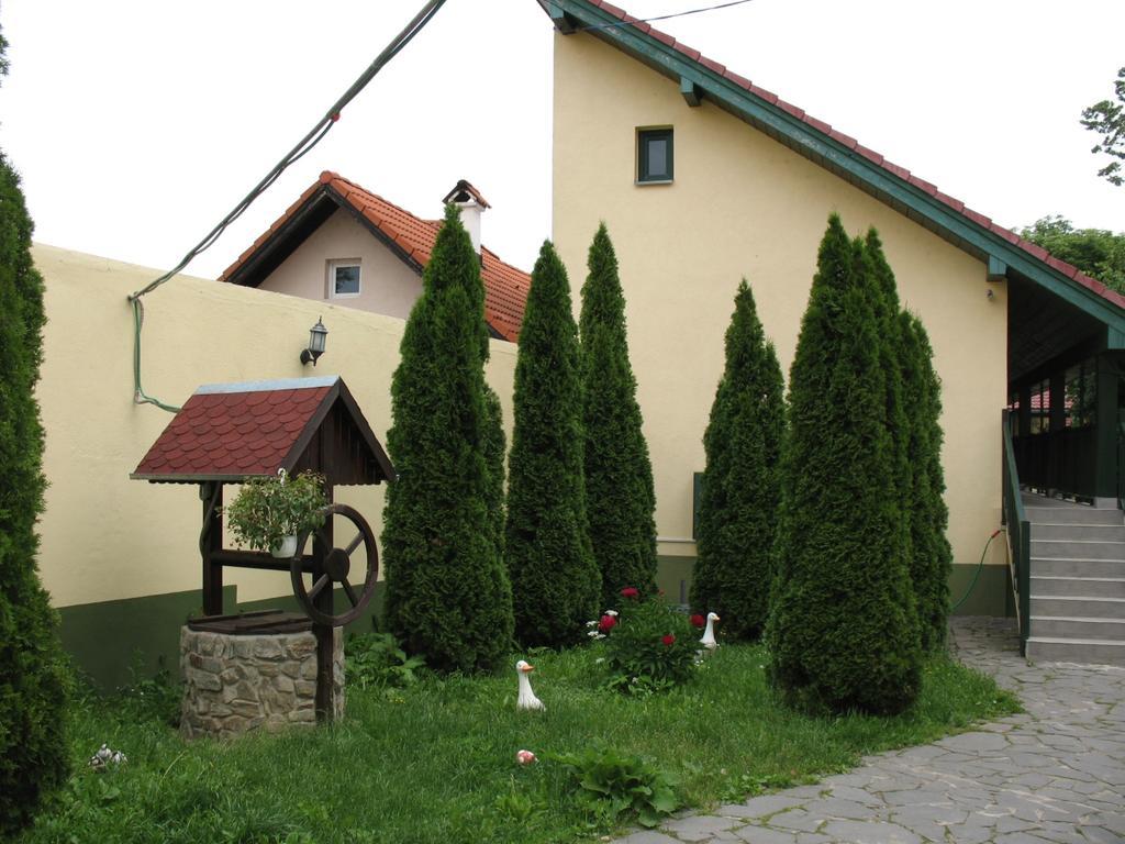 Pensiunea Sub CetateCisnădie エクステリア 写真